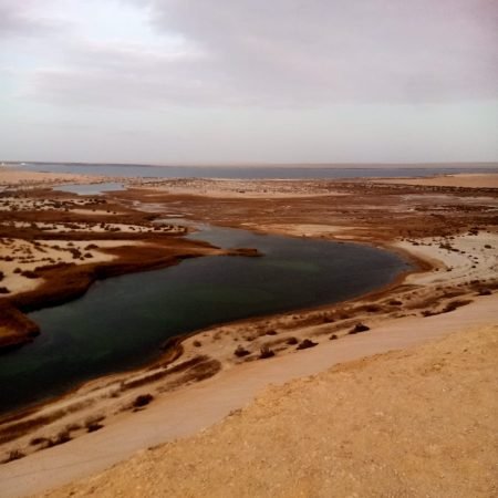 WhatsApp Image 2025-06-14 at 14.10.06_f3d4cbb2