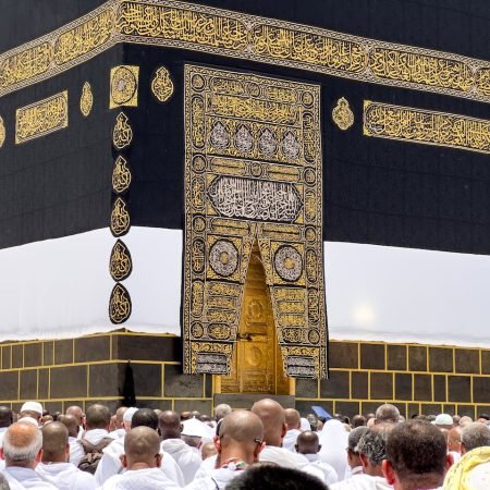 pexels-yasirgurbuz-32290181 (1)